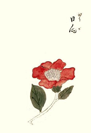 photo24.jpg