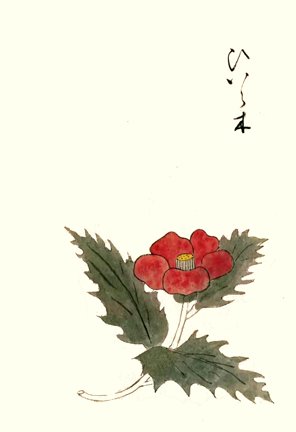 photo28.jpg