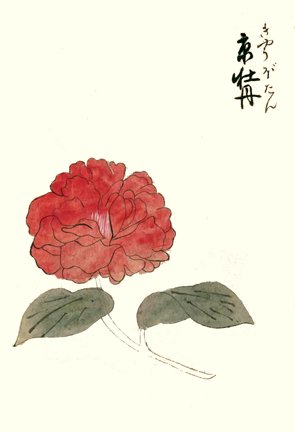 photo3.jpg
