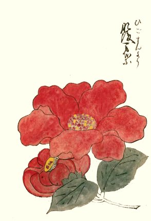 photo38.jpg