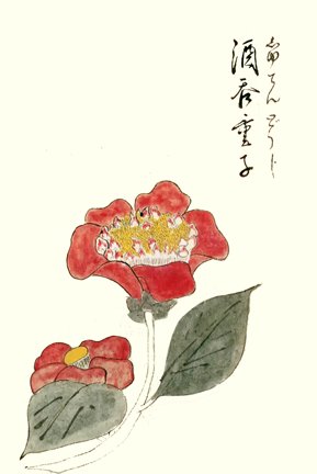 photo43.jpg