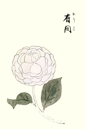 photo45.jpg