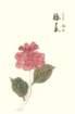 photo53_small.jpg