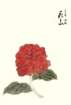 photo7_small.jpg
