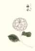 photo8_small.jpg