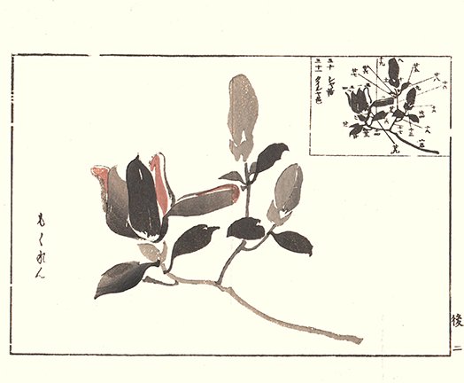 photo10.jpg