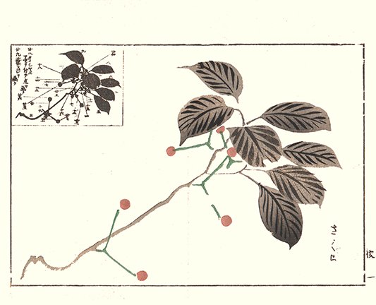 photo9.jpg