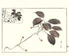 photo9_small.jpg