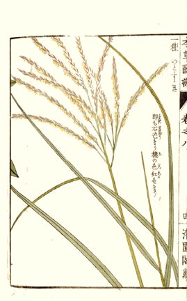 photo100.jpg