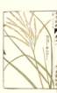 photo100_small.jpg