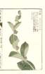 photo118_small.jpg