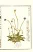 photo17_small.jpg