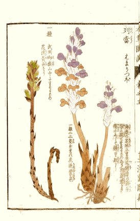 photo25.jpg