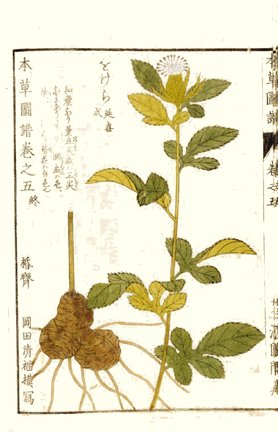 photo31.jpg