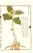photo38_small.jpg