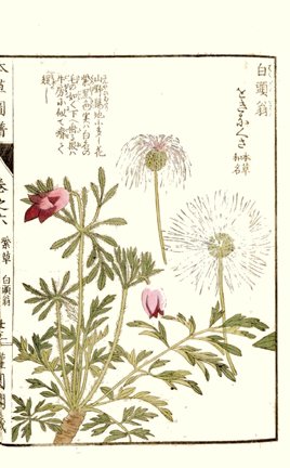 photo56.jpg