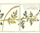 photo73_small.jpg