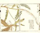 photo83_small.jpg