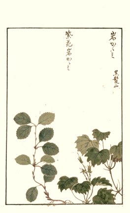 photo10.jpg