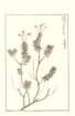 photo100_small.jpg