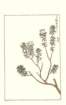 photo102_small.jpg