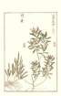 photo103_small.jpg