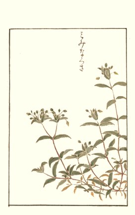 photo107.jpg