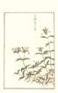 photo107_small.jpg