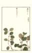 photo10_small.jpg