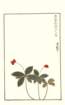 photo11_small.jpg