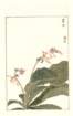 photo121_small.jpg