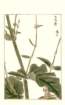 photo129_small.jpg