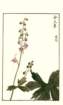 photo12_small.jpg