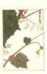 photo143_small.jpg