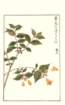 photo147_small.jpg