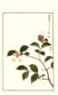 photo148_small.jpg
