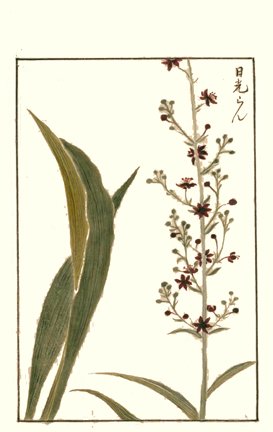 photo15.jpg