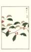 photo150_small.jpg