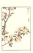 photo152_small.jpg