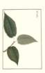 photo156_small.jpg