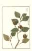 photo160_small.jpg