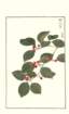 photo164_small.jpg