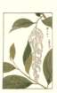photo169_small.jpg
