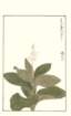 photo16_small.jpg
