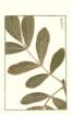 photo172_small.jpg