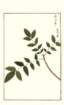 photo174_small.jpg