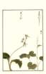photo19_small.jpg