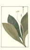 photo20_small.jpg