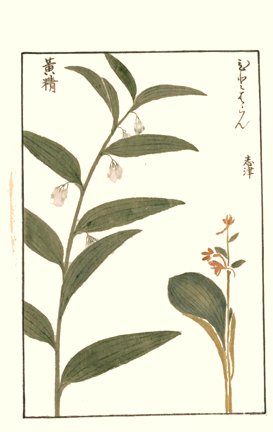 photo21.jpg