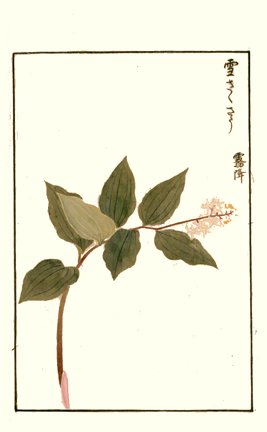 photo23.jpg